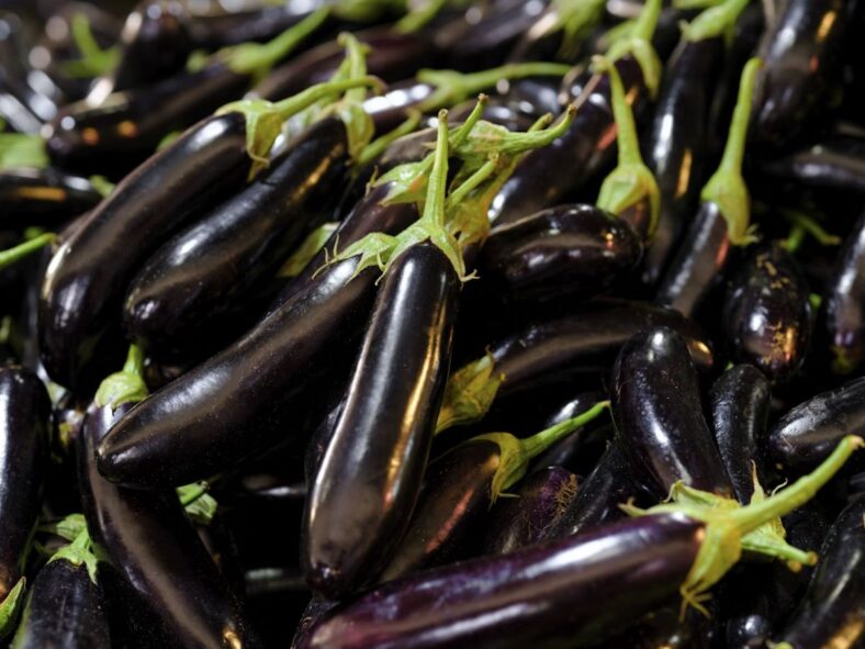Eggplant Autumn Vegetables Unsplash
