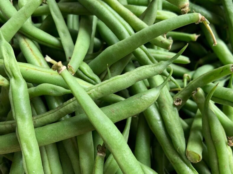 Green Beans Autumn Vegetables Unsplash