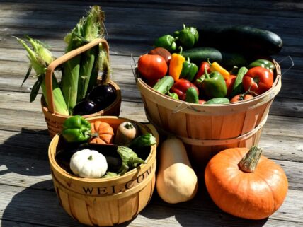 How to Use Autumn Vegetables Unsplash