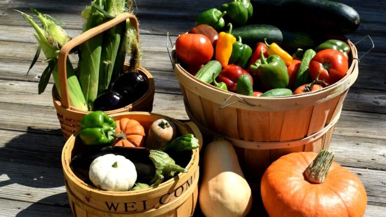 How to Use Autumn Vegetables Unsplash