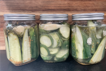 homemade pickle recipes