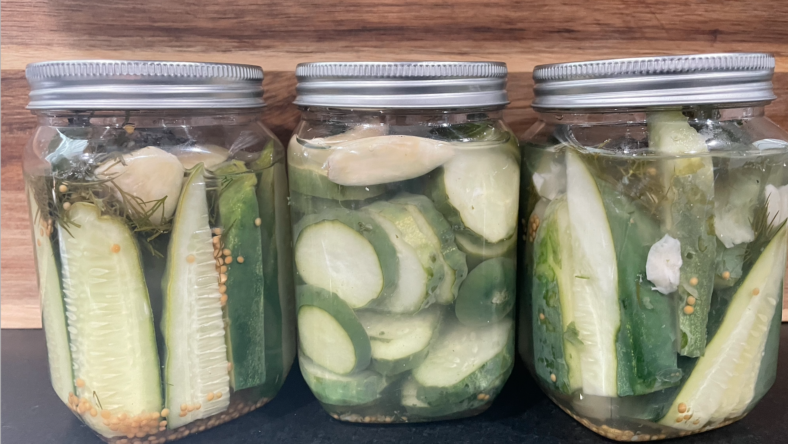 homemade pickle recipes