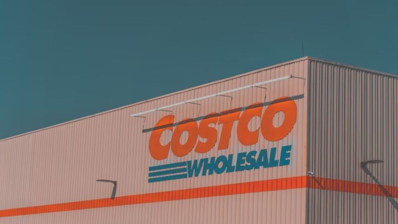 Best Costco Lunch Ideas