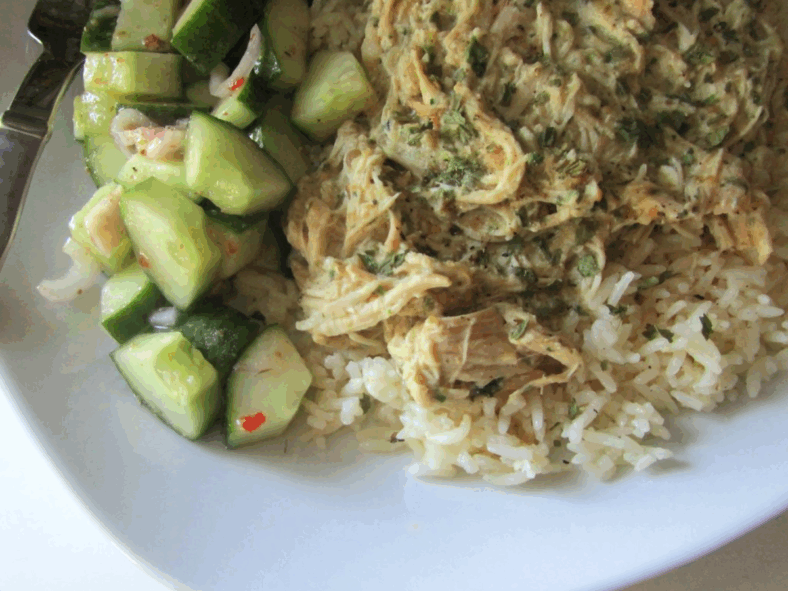 beginner crock pot recipes