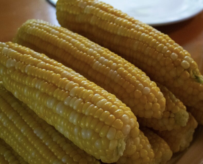 Corn on the cob UnSplash Kelsey Todd