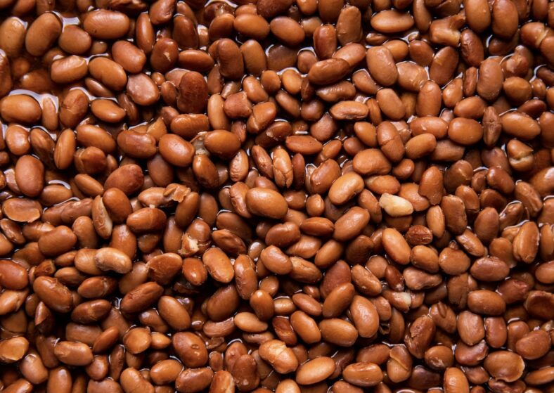 Baked Beans UnSplash Israel Palacio