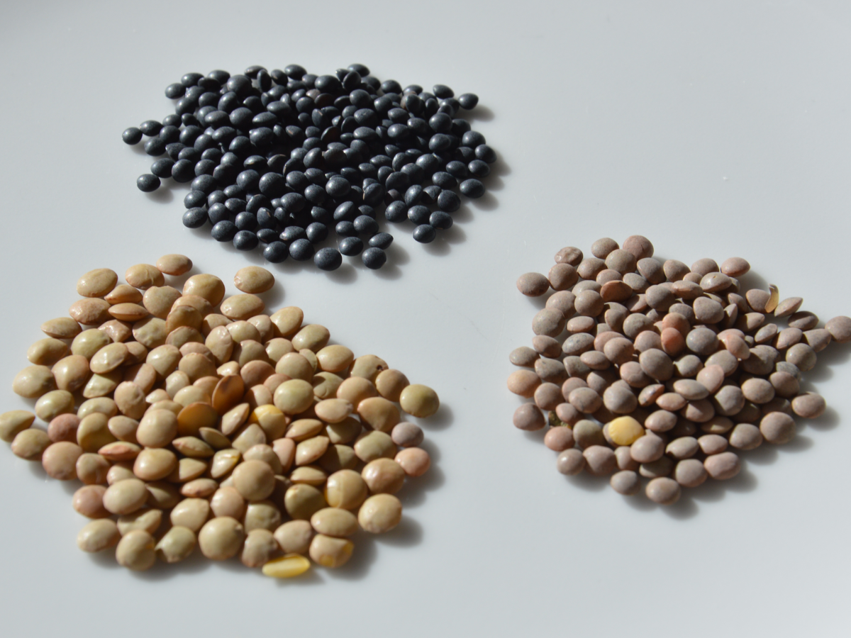 best plant-based alternatives