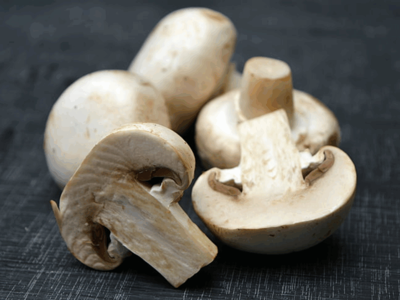 best plant-based alternatives