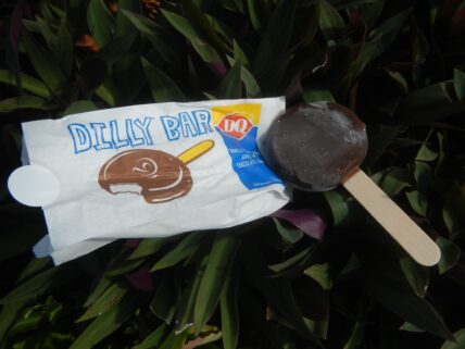 dq free dilly bar