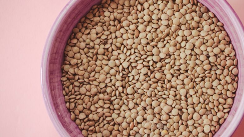 lentils in purple bowl